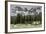 Horses Grazing in the Meadow Blanketed in Summer Snow, Dolomites, Alto Adige or South Tyrol, Italy-Stefano Politi Markovina-Framed Photographic Print