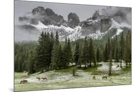 Horses Grazing in the Meadow Blanketed in Summer Snow, Dolomites, Alto Adige or South Tyrol, Italy-Stefano Politi Markovina-Mounted Photographic Print