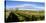 Horses grazing on paddock at horse farm, Lexington, Kentucky, USA-Panoramic Images-Stretched Canvas