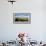 Horses grazing on paddock at horse farm, Lexington, Kentucky, USA-Panoramic Images-Framed Photographic Print displayed on a wall