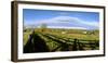 Horses grazing on paddock at horse farm, Lexington, Kentucky, USA-Panoramic Images-Framed Photographic Print