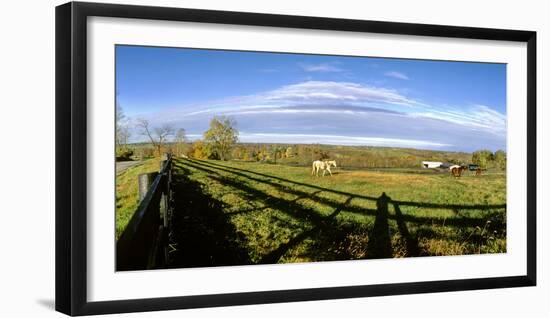 Horses grazing on paddock at horse farm, Lexington, Kentucky, USA-Panoramic Images-Framed Photographic Print