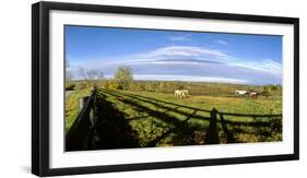 Horses grazing on paddock at horse farm, Lexington, Kentucky, USA-Panoramic Images-Framed Photographic Print