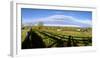 Horses grazing on paddock at horse farm, Lexington, Kentucky, USA-Panoramic Images-Framed Photographic Print