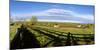 Horses grazing on paddock at horse farm, Lexington, Kentucky, USA-Panoramic Images-Mounted Photographic Print