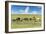 Horses grazing on the Mongolian steppe, South Hangay, Mongolia, Central Asia, Asia-Francesco Vaninetti-Framed Photographic Print