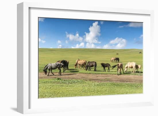 Horses grazing on the Mongolian steppe, South Hangay, Mongolia, Central Asia, Asia-Francesco Vaninetti-Framed Photographic Print