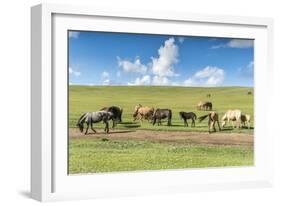 Horses grazing on the Mongolian steppe, South Hangay, Mongolia, Central Asia, Asia-Francesco Vaninetti-Framed Photographic Print