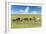 Horses grazing on the Mongolian steppe, South Hangay, Mongolia, Central Asia, Asia-Francesco Vaninetti-Framed Photographic Print