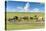 Horses grazing on the Mongolian steppe, South Hangay, Mongolia, Central Asia, Asia-Francesco Vaninetti-Stretched Canvas