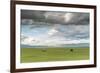 Horses grazing on the Mongolian steppe under a cloudy sky, South Hangay, Mongolia, Central Asia, As-Francesco Vaninetti-Framed Photographic Print