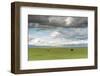 Horses grazing on the Mongolian steppe under a cloudy sky, South Hangay, Mongolia, Central Asia, As-Francesco Vaninetti-Framed Photographic Print