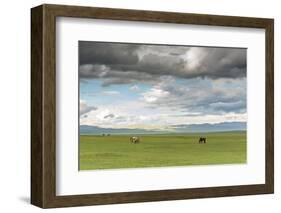 Horses grazing on the Mongolian steppe under a cloudy sky, South Hangay, Mongolia, Central Asia, As-Francesco Vaninetti-Framed Photographic Print