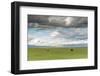 Horses grazing on the Mongolian steppe under a cloudy sky, South Hangay, Mongolia, Central Asia, As-Francesco Vaninetti-Framed Photographic Print