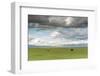 Horses grazing on the Mongolian steppe under a cloudy sky, South Hangay, Mongolia, Central Asia, As-Francesco Vaninetti-Framed Photographic Print