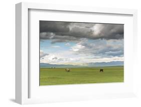 Horses grazing on the Mongolian steppe under a cloudy sky, South Hangay, Mongolia, Central Asia, As-Francesco Vaninetti-Framed Photographic Print