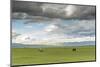 Horses grazing on the Mongolian steppe under a cloudy sky, South Hangay, Mongolia, Central Asia, As-Francesco Vaninetti-Mounted Photographic Print