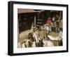 Horses, Hacienda Guachipelin, Near Rincon De La Vieja National Park, Guanacaste, Costa Rica-R H Productions-Framed Photographic Print