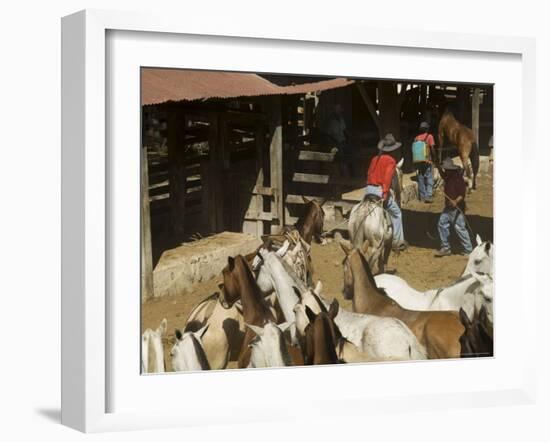 Horses, Hacienda Guachipelin, Near Rincon De La Vieja National Park, Guanacaste, Costa Rica-R H Productions-Framed Photographic Print