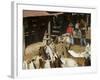 Horses, Hacienda Guachipelin, Near Rincon De La Vieja National Park, Guanacaste, Costa Rica-R H Productions-Framed Photographic Print