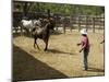 Horses, Hacienda Guachipelin, Near Rincon De La Vieja National Park, Guanacaste, Costa Rica-R H Productions-Mounted Photographic Print