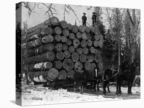 Horses Hauling Huge Load of Logs-W.G. Hopps-Stretched Canvas