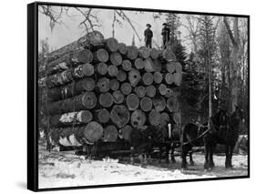 Horses Hauling Huge Load of Logs-W.G. Hopps-Framed Stretched Canvas