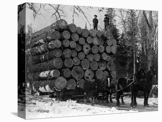 Horses Hauling Huge Load of Logs-W.G. Hopps-Stretched Canvas