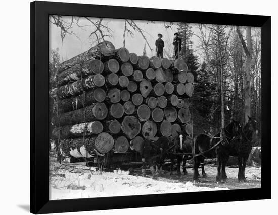 Horses Hauling Huge Load of Logs-W.G. Hopps-Framed Photographic Print