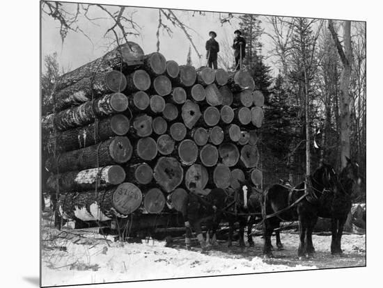 Horses Hauling Huge Load of Logs-W.G. Hopps-Mounted Photographic Print