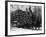 Horses Hauling Huge Load of Logs-W.G. Hopps-Framed Photographic Print