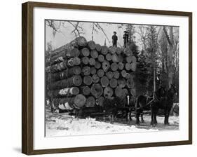 Horses Hauling Huge Load of Logs-W.G. Hopps-Framed Photographic Print