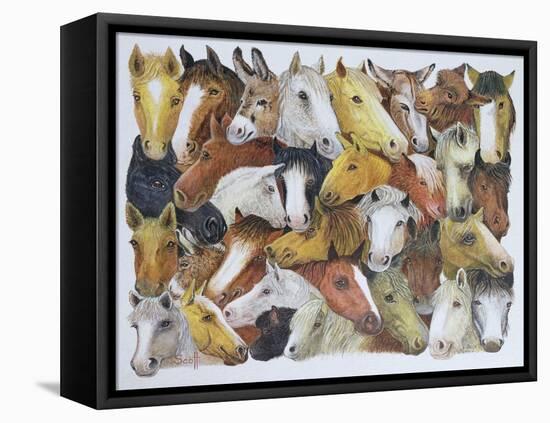 Horses Horses-Pat Scott-Framed Stretched Canvas