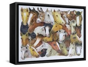 Horses Horses-Pat Scott-Framed Stretched Canvas