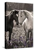 Horses I-Sally Linden-Stretched Canvas