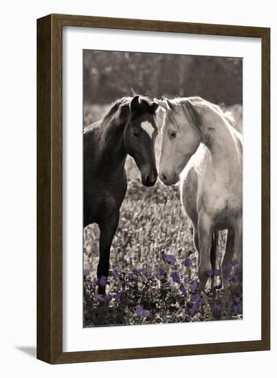 Horses I-Sally Linden-Framed Photo