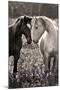 Horses I-Sally Linden-Mounted Photo