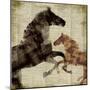 Horses I-Dan Meneely-Mounted Premium Giclee Print