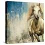 Horses I-Andrew Michaels-Stretched Canvas