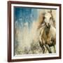 Horses I-Andrew Michaels-Framed Art Print