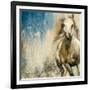 Horses I-Andrew Michaels-Framed Art Print