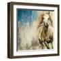 Horses I-Andrew Michaels-Framed Art Print