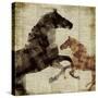 Horses I-Dan Meneely-Stretched Canvas