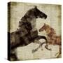 Horses I-Dan Meneely-Stretched Canvas