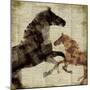 Horses I-Dan Meneely-Mounted Premium Giclee Print