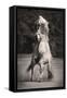 Horses II-Sally Linden-Framed Stretched Canvas