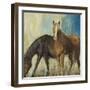 Horses II-Andrew Michaels-Framed Art Print