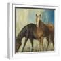 Horses II-Andrew Michaels-Framed Art Print