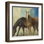 Horses II-Andrew Michaels-Framed Art Print