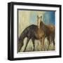 Horses II-Andrew Michaels-Framed Art Print